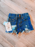 Wrangler Shorts🩷