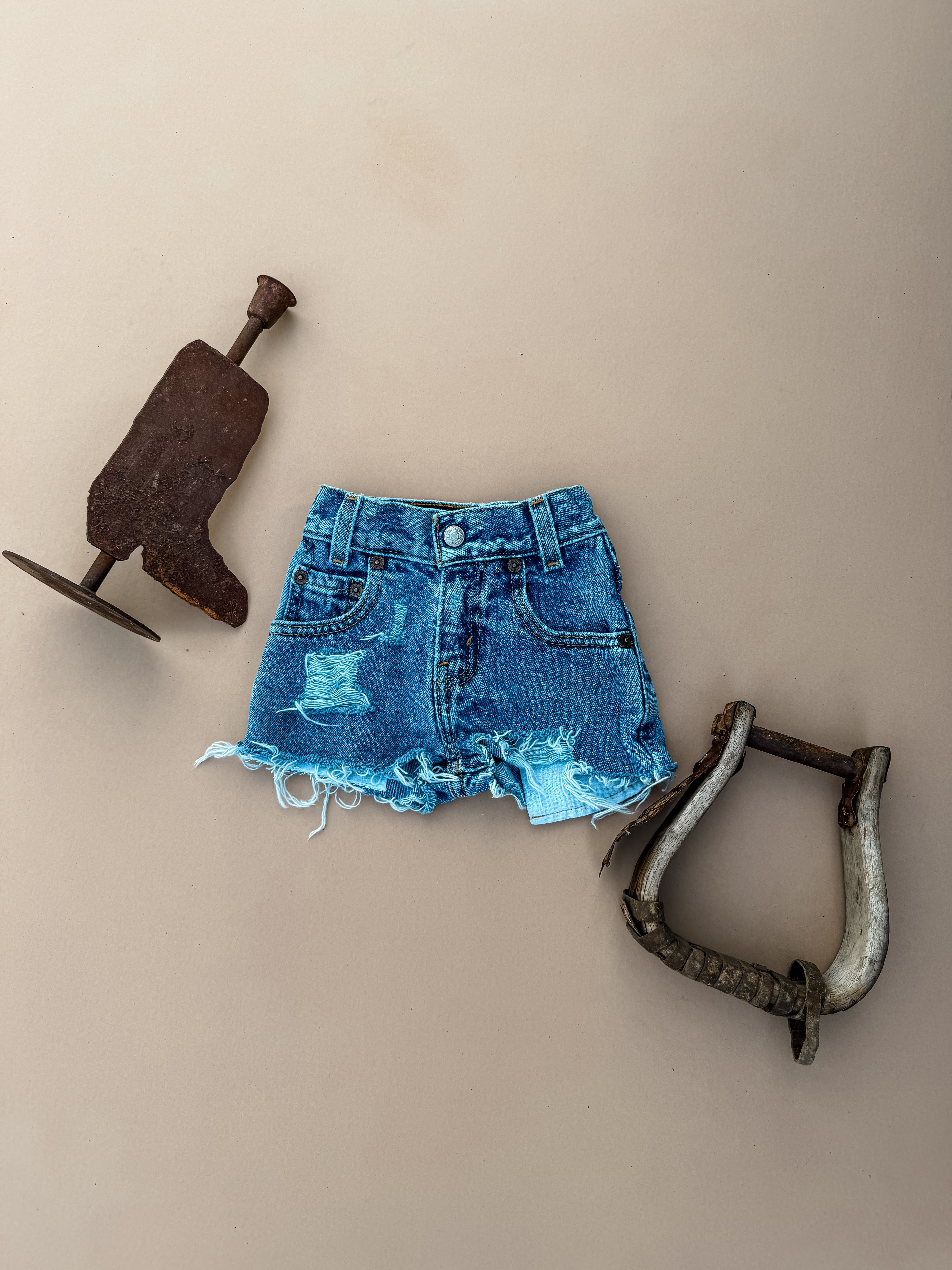 Distressed Jean Shorts